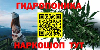 ECSTASY Краснознаменск